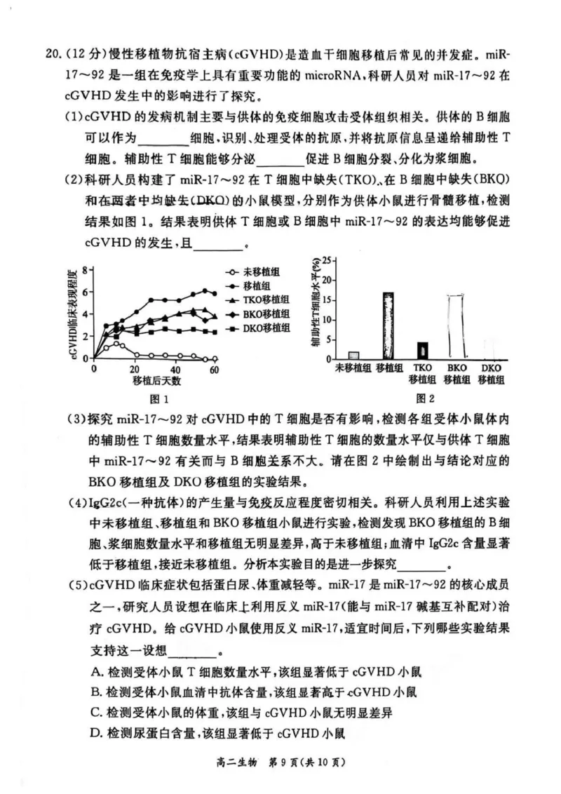 北京市东城区2024-2025学年高二上学期期末考试生物PDF版含答案_2024-2025高二（7-7月题库）_2025年01月试卷_0124北京市东城区2024-2025学年高二上学期期末考试
