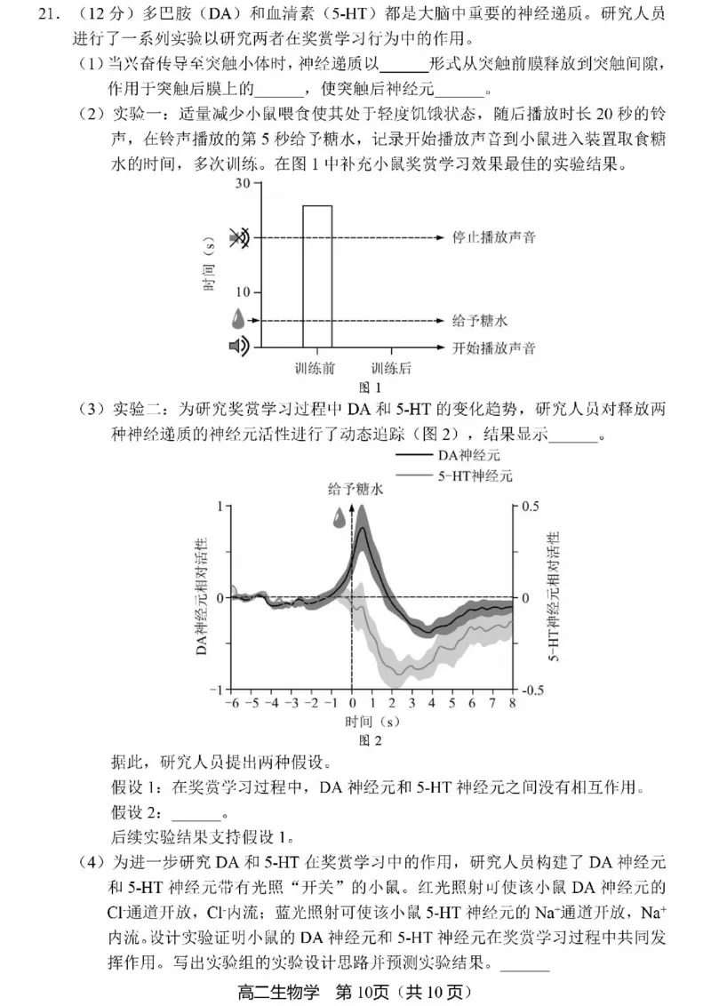 北京市丰台区2024-2025学年高二上学期期末考试生物试卷（PDF版，含答案）_2024-2025高二（7-7月题库）_2025年01月试卷_0126北京市丰台区2024-2025学年高二上学期期末考试