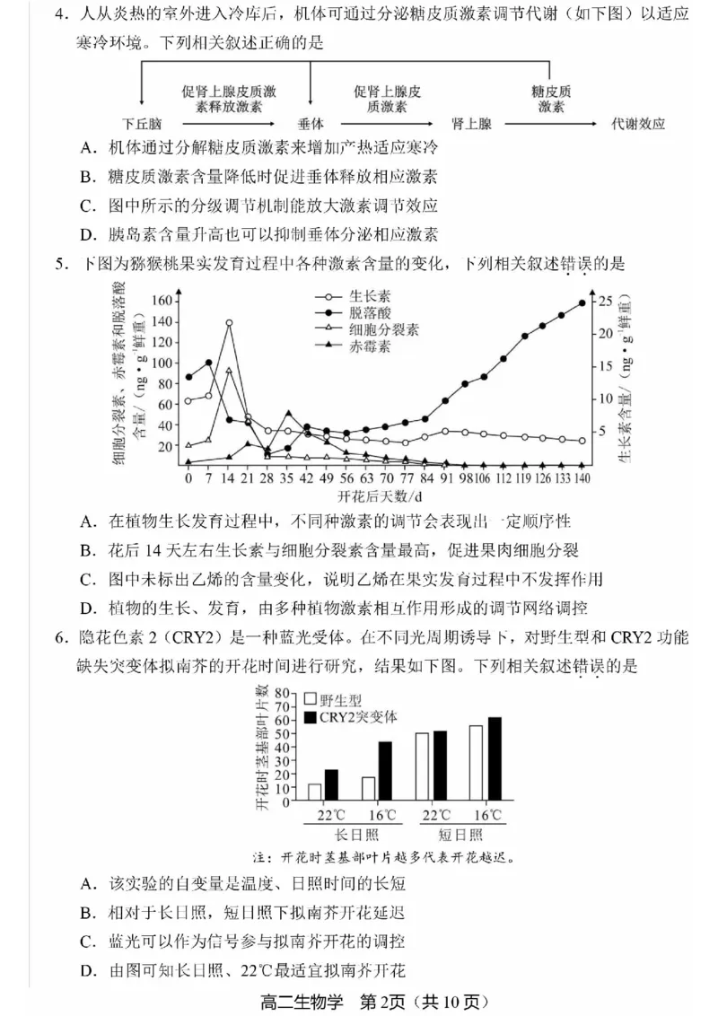 北京市丰台区2024-2025学年高二上学期期末考试生物试卷（PDF版，含答案）_2024-2025高二（7-7月题库）_2025年01月试卷_0126北京市丰台区2024-2025学年高二上学期期末考试