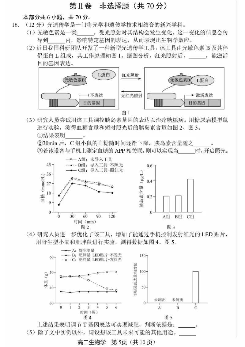 北京市丰台区2024-2025学年高二上学期期末考试生物试卷（PDF版，含答案）_2024-2025高二（7-7月题库）_2025年01月试卷_0126北京市丰台区2024-2025学年高二上学期期末考试