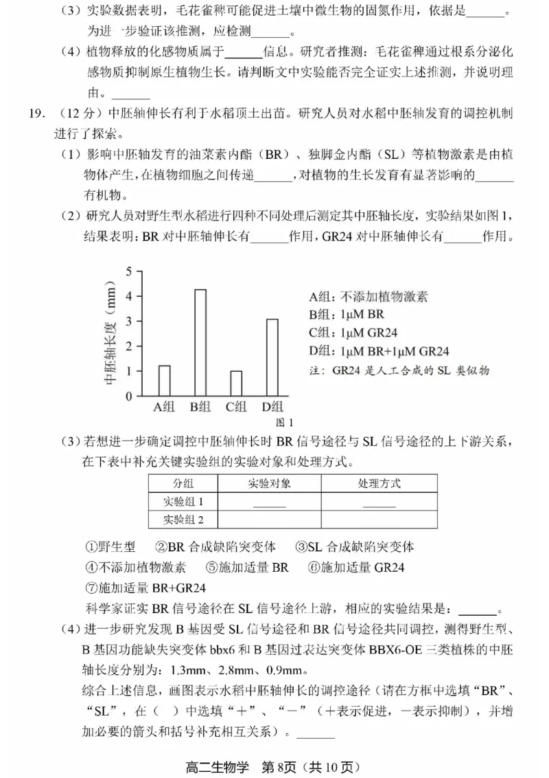 北京市丰台区2024-2025学年高二上学期期末考试生物试卷（PDF版，含答案）_2024-2025高二（7-7月题库）_2025年01月试卷_0126北京市丰台区2024-2025学年高二上学期期末考试