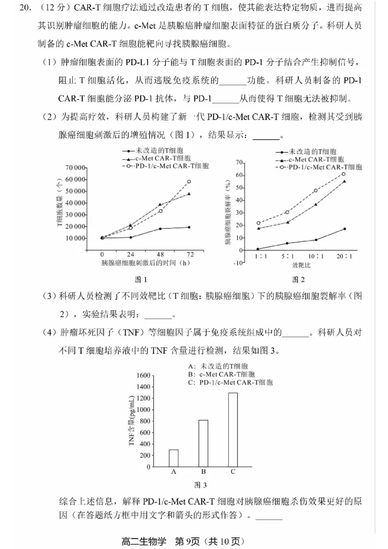 北京市丰台区2024-2025学年高二上学期期末考试生物试卷（PDF版，含答案）_2024-2025高二（7-7月题库）_2025年01月试卷_0126北京市丰台区2024-2025学年高二上学期期末考试