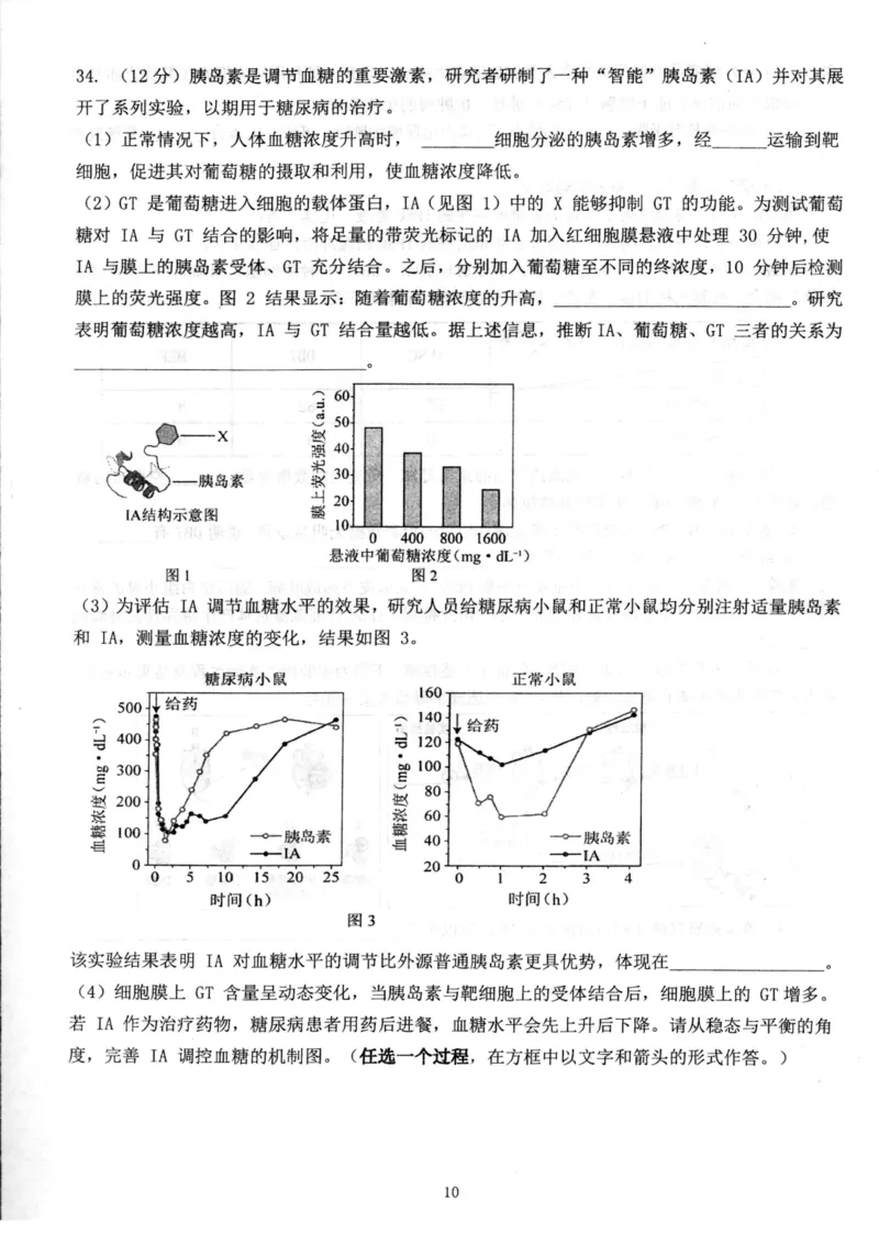 北京市海淀区北京理工大学附属中学2024-2025学年高二上学期12月月考生物试题_2024-2025高二（7-7月题库）_2024年12月试卷