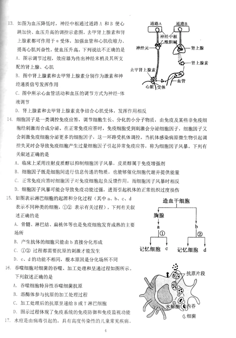 北京市海淀区北京理工大学附属中学2024-2025学年高二上学期12月月考生物试题_2024-2025高二（7-7月题库）_2024年12月试卷