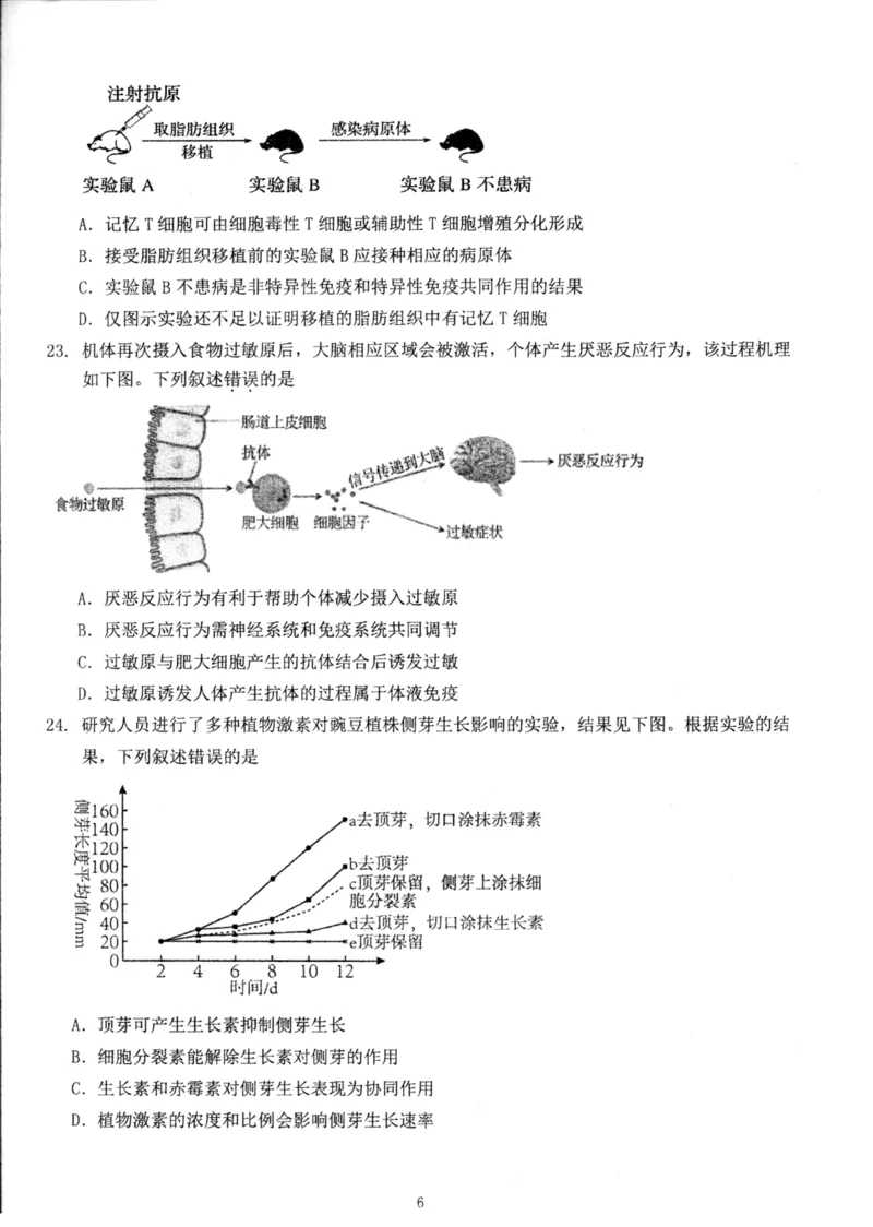 北京市海淀区北京理工大学附属中学2024-2025学年高二上学期12月月考生物试题_2024-2025高二（7-7月题库）_2024年12月试卷