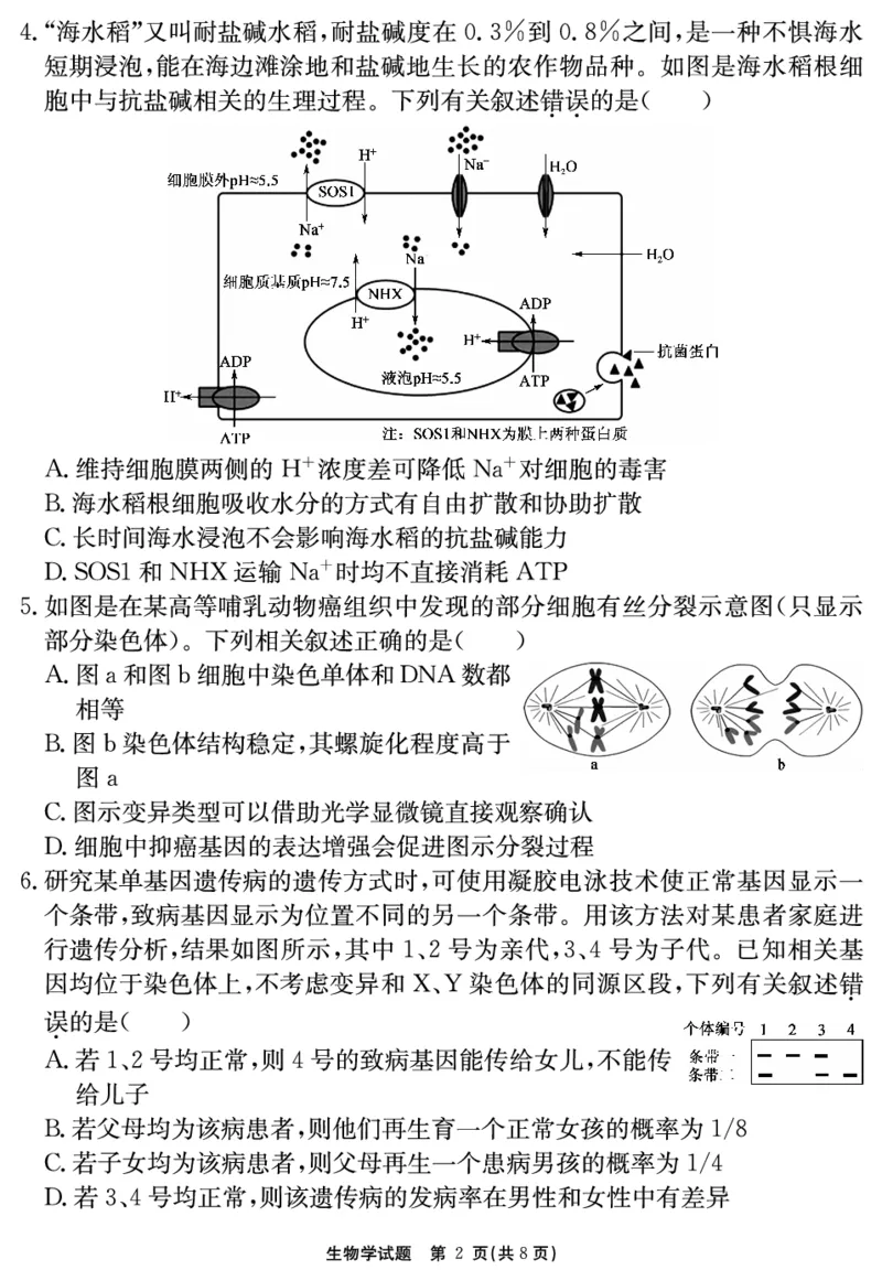2024-2025学年耀正优12月高三年级&middot;名校阶段检测生物_2024-2025高三（6-6月题库）_2024年12月试卷_1222安徽省2024-2025学年耀正优12月高三年级&middot;名校阶段检测（全科）