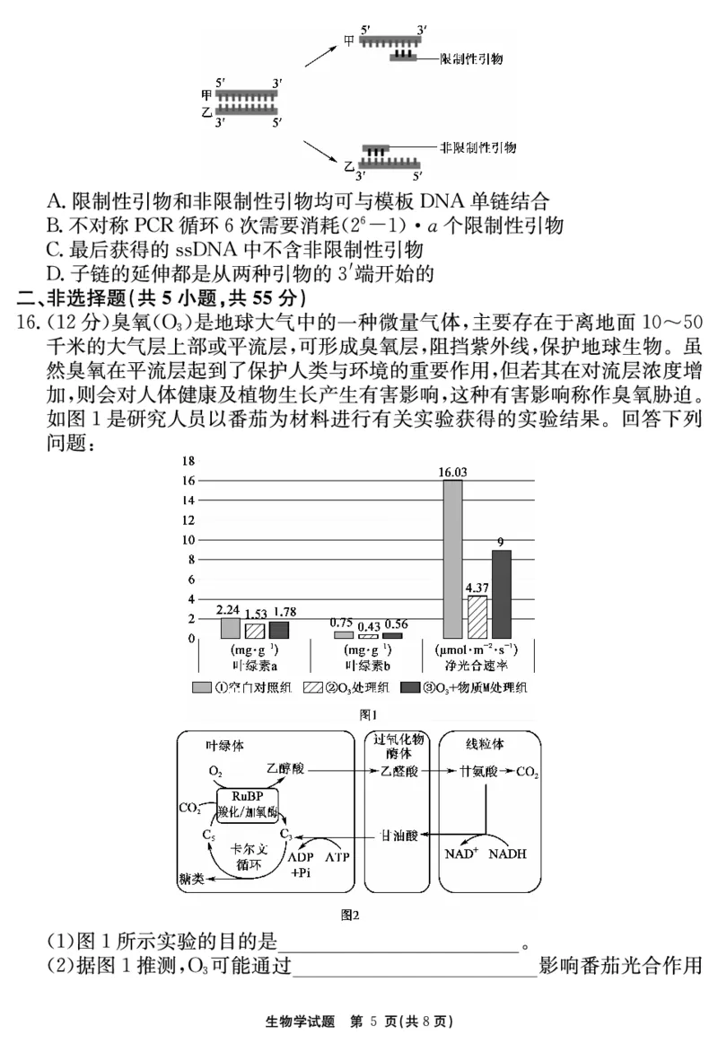 2024-2025学年耀正优12月高三年级&middot;名校阶段检测生物_2024-2025高三（6-6月题库）_2024年12月试卷_1222安徽省2024-2025学年耀正优12月高三年级&middot;名校阶段检测（全科）