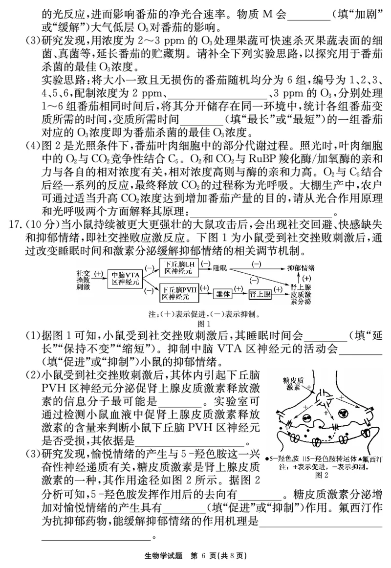 2024-2025学年耀正优12月高三年级&middot;名校阶段检测生物_2024-2025高三（6-6月题库）_2024年12月试卷_1222安徽省2024-2025学年耀正优12月高三年级&middot;名校阶段检测（全科）