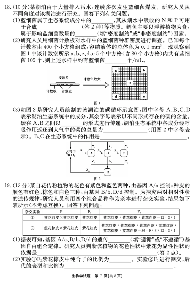 2024-2025学年耀正优12月高三年级&middot;名校阶段检测生物_2024-2025高三（6-6月题库）_2024年12月试卷_1222安徽省2024-2025学年耀正优12月高三年级&middot;名校阶段检测（全科）