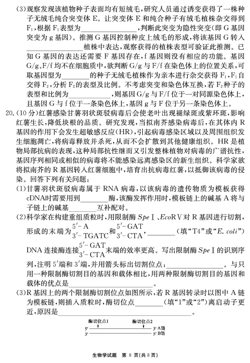 2024-2025学年耀正优12月高三年级&middot;名校阶段检测生物_2024-2025高三（6-6月题库）_2024年12月试卷_1222安徽省2024-2025学年耀正优12月高三年级&middot;名校阶段检测（全科）