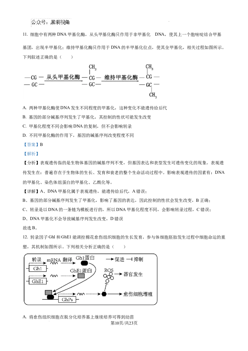 2025届广东省联考高三上学期10月第一次模拟（一模）生物试题答案_2024-2025高三（6-6月题库）_2024年10月试卷_1020广东省（雷州市龙门中学、客路中学）两校2025届高三10月第一次模拟考试