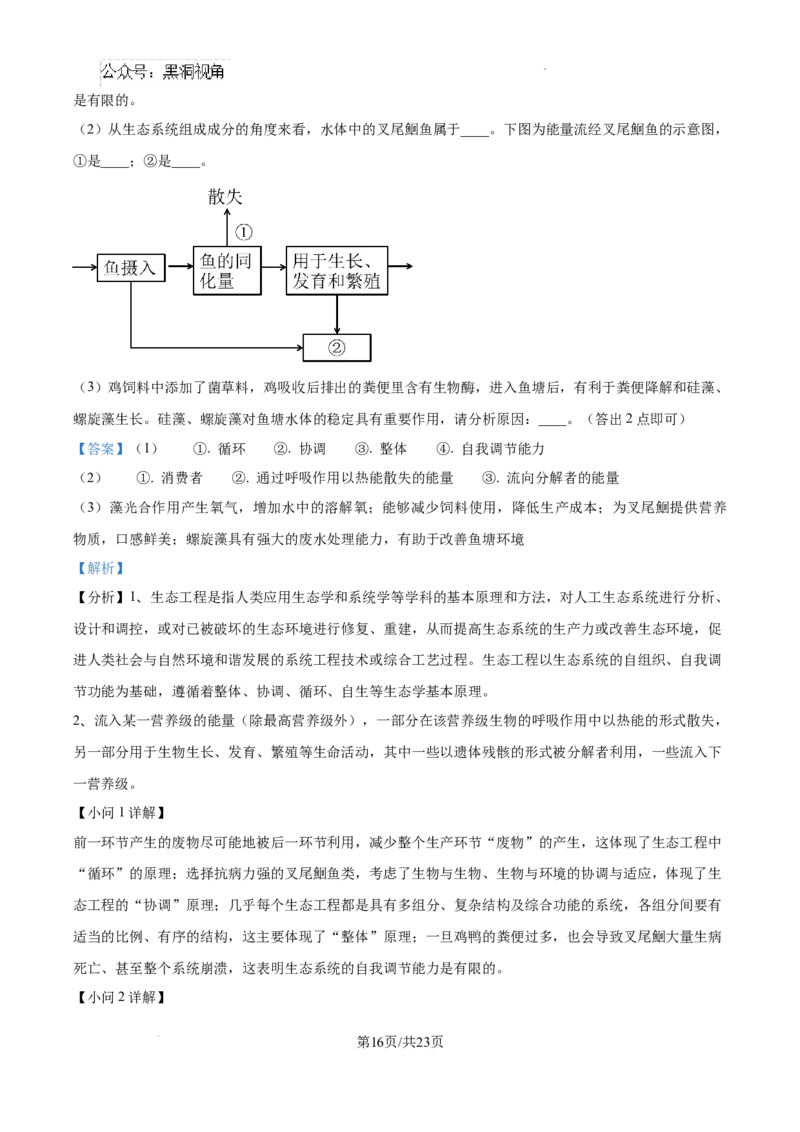 2025届广东省联考高三上学期10月第一次模拟（一模）生物试题答案_2024-2025高三（6-6月题库）_2024年10月试卷_1020广东省（雷州市龙门中学、客路中学）两校2025届高三10月第一次模拟考试