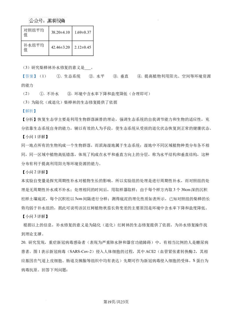 2025届广东省联考高三上学期10月第一次模拟（一模）生物试题答案_2024-2025高三（6-6月题库）_2024年10月试卷_1020广东省（雷州市龙门中学、客路中学）两校2025届高三10月第一次模拟考试