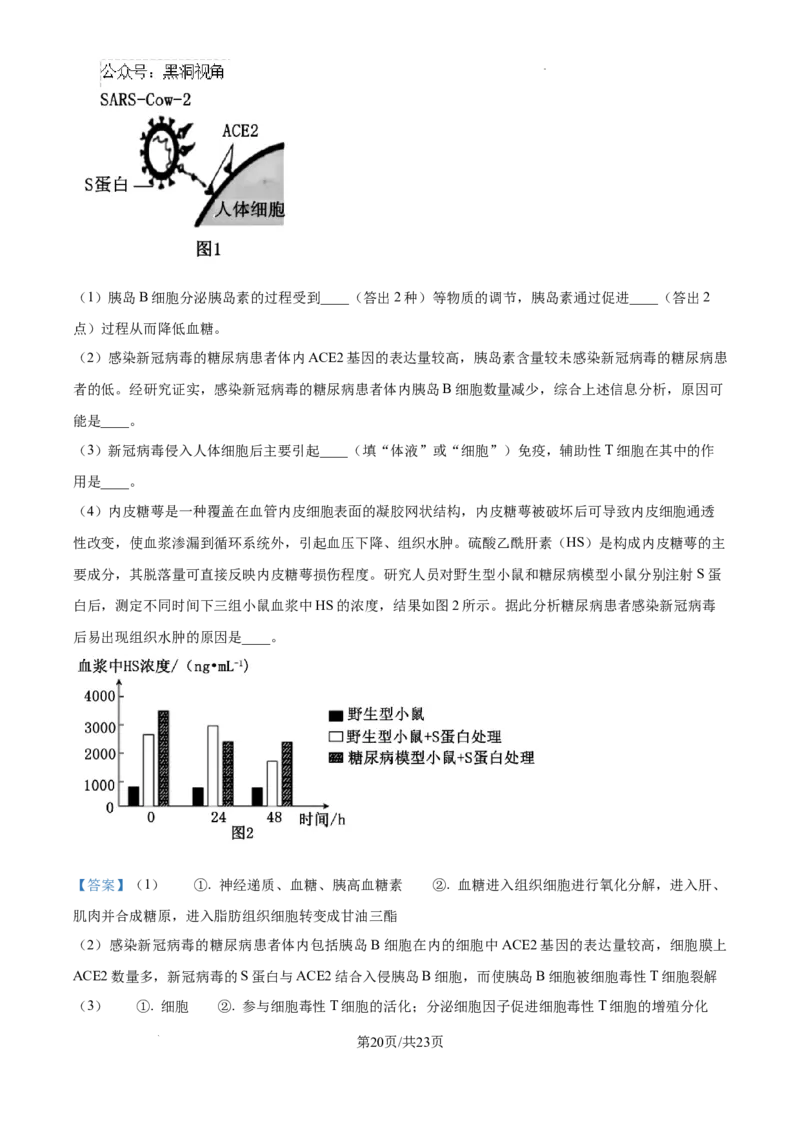 2025届广东省联考高三上学期10月第一次模拟（一模）生物试题答案_2024-2025高三（6-6月题库）_2024年10月试卷_1020广东省（雷州市龙门中学、客路中学）两校2025届高三10月第一次模拟考试