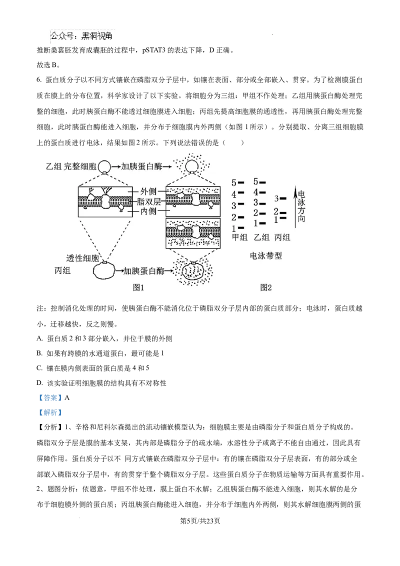 2025届广东省联考高三上学期10月第一次模拟（一模）生物试题答案_2024-2025高三（6-6月题库）_2024年10月试卷_1020广东省（雷州市龙门中学、客路中学）两校2025届高三10月第一次模拟考试