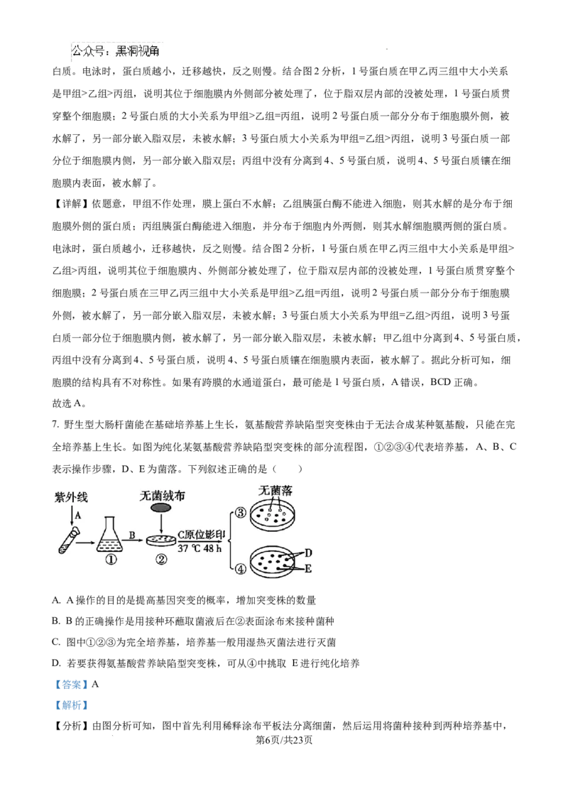 2025届广东省联考高三上学期10月第一次模拟（一模）生物试题答案_2024-2025高三（6-6月题库）_2024年10月试卷_1020广东省（雷州市龙门中学、客路中学）两校2025届高三10月第一次模拟考试