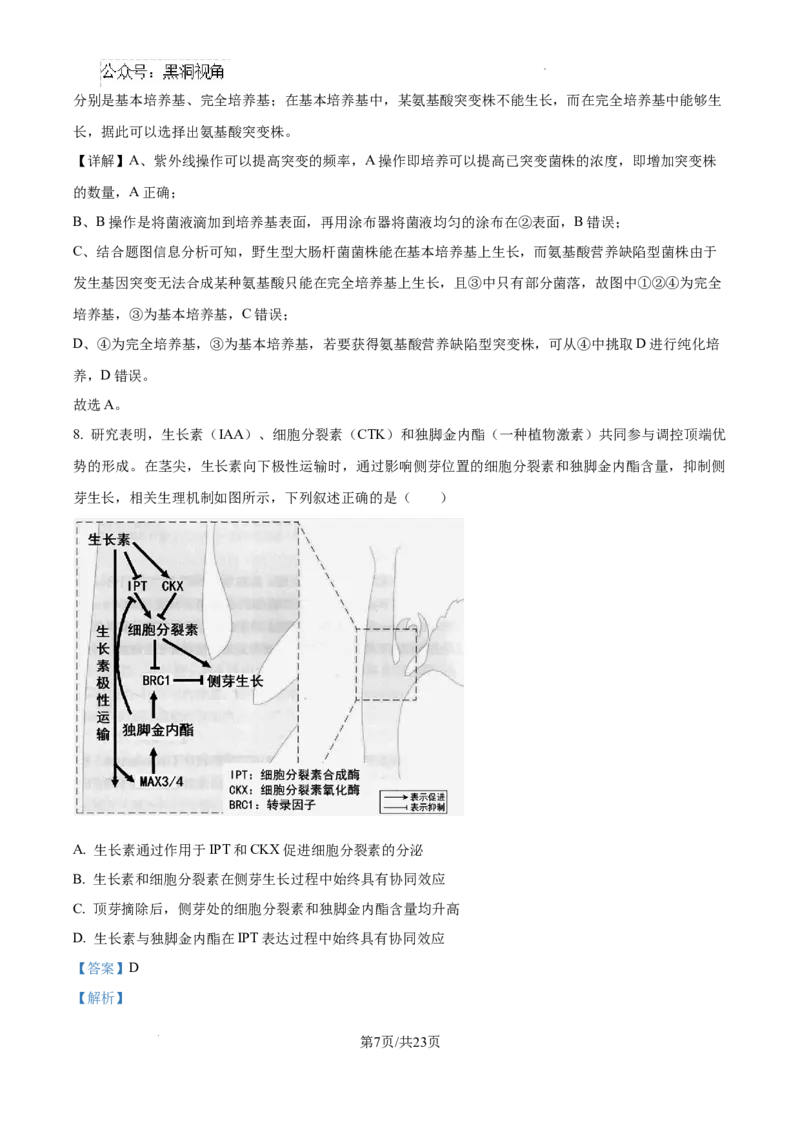 2025届广东省联考高三上学期10月第一次模拟（一模）生物试题答案_2024-2025高三（6-6月题库）_2024年10月试卷_1020广东省（雷州市龙门中学、客路中学）两校2025届高三10月第一次模拟考试