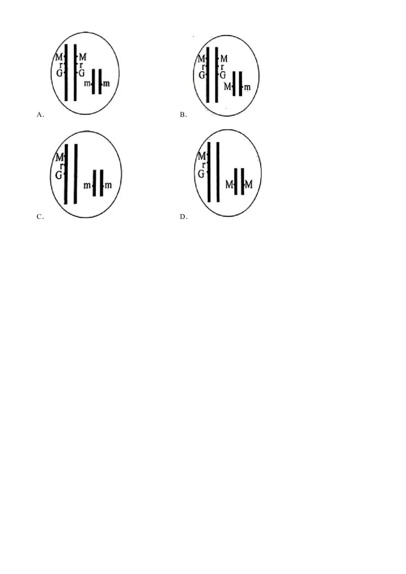 湖北省十一校2023-2024学年高三下学期第二次联考生物试题(无答案)_2024年3月_013月合集_2024届湖北省十一校高三下学期第二次联考_湖北省十一校2024届高三下学期第二次联考生物
