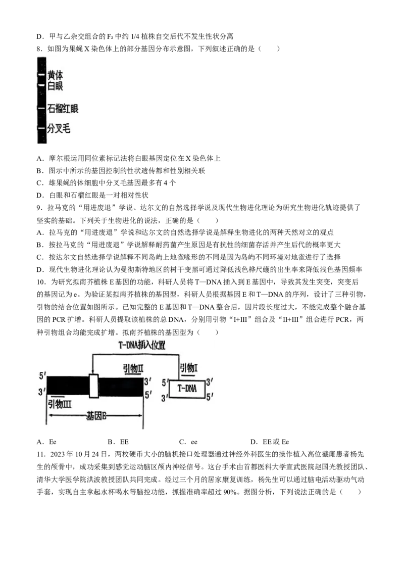 湖北省十一校2023-2024学年高三下学期第二次联考生物试题(无答案)_2024年3月_013月合集_2024届湖北省十一校高三下学期第二次联考_湖北省十一校2024届高三下学期第二次联考生物