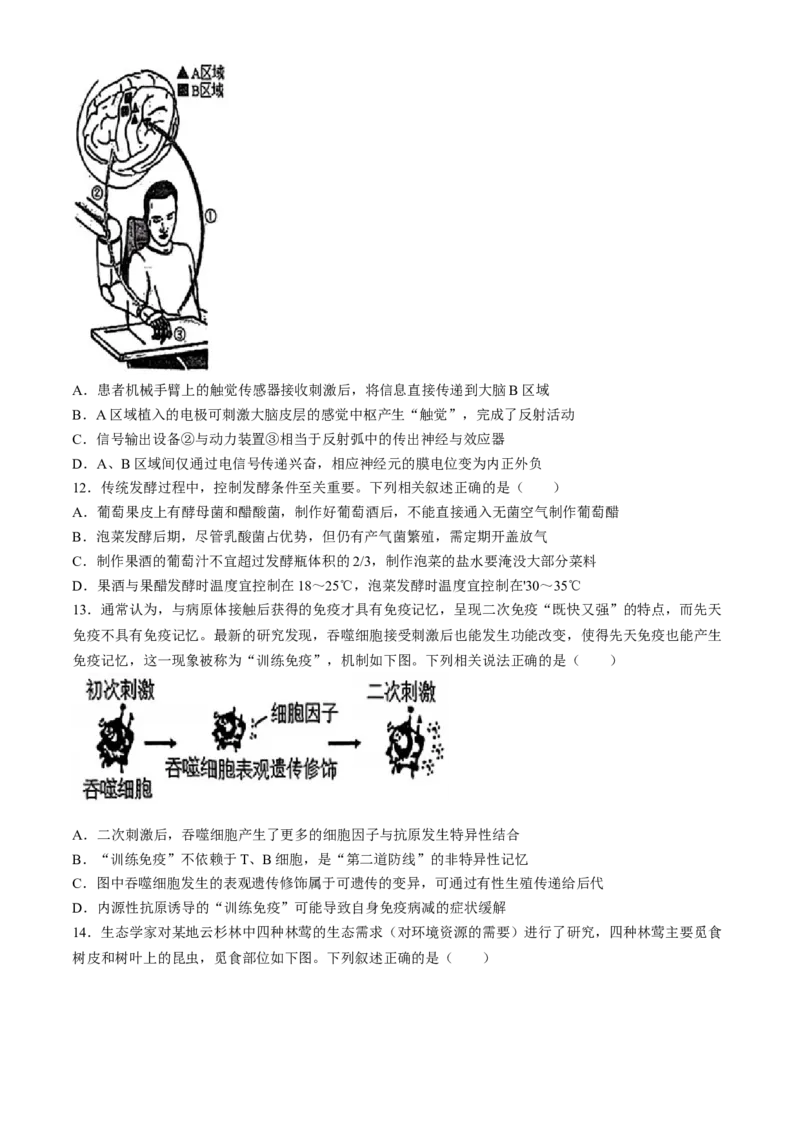 湖北省十一校2023-2024学年高三下学期第二次联考生物试题(无答案)_2024年3月_013月合集_2024届湖北省十一校高三下学期第二次联考_湖北省十一校2024届高三下学期第二次联考生物