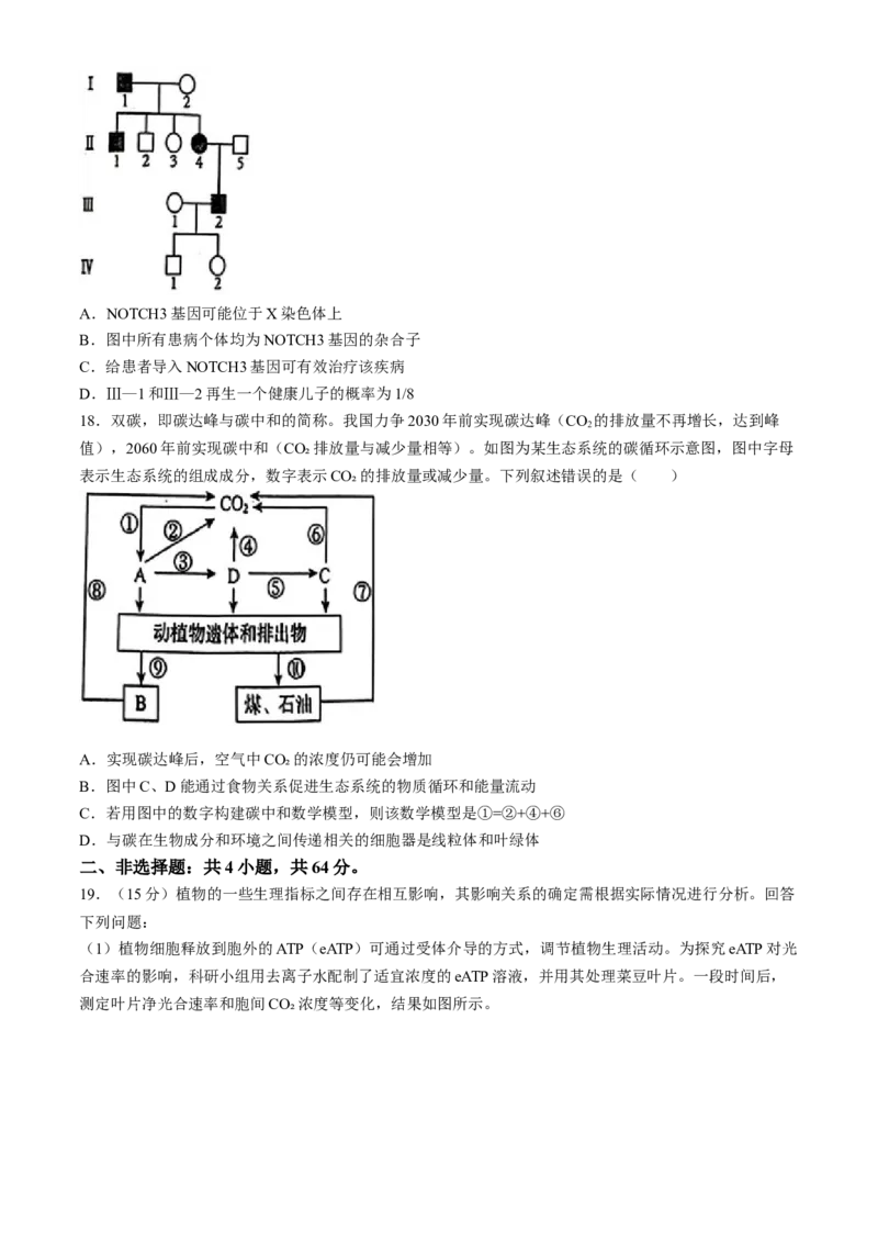 湖北省十一校2023-2024学年高三下学期第二次联考生物试题(无答案)_2024年3月_013月合集_2024届湖北省十一校高三下学期第二次联考_湖北省十一校2024届高三下学期第二次联考生物