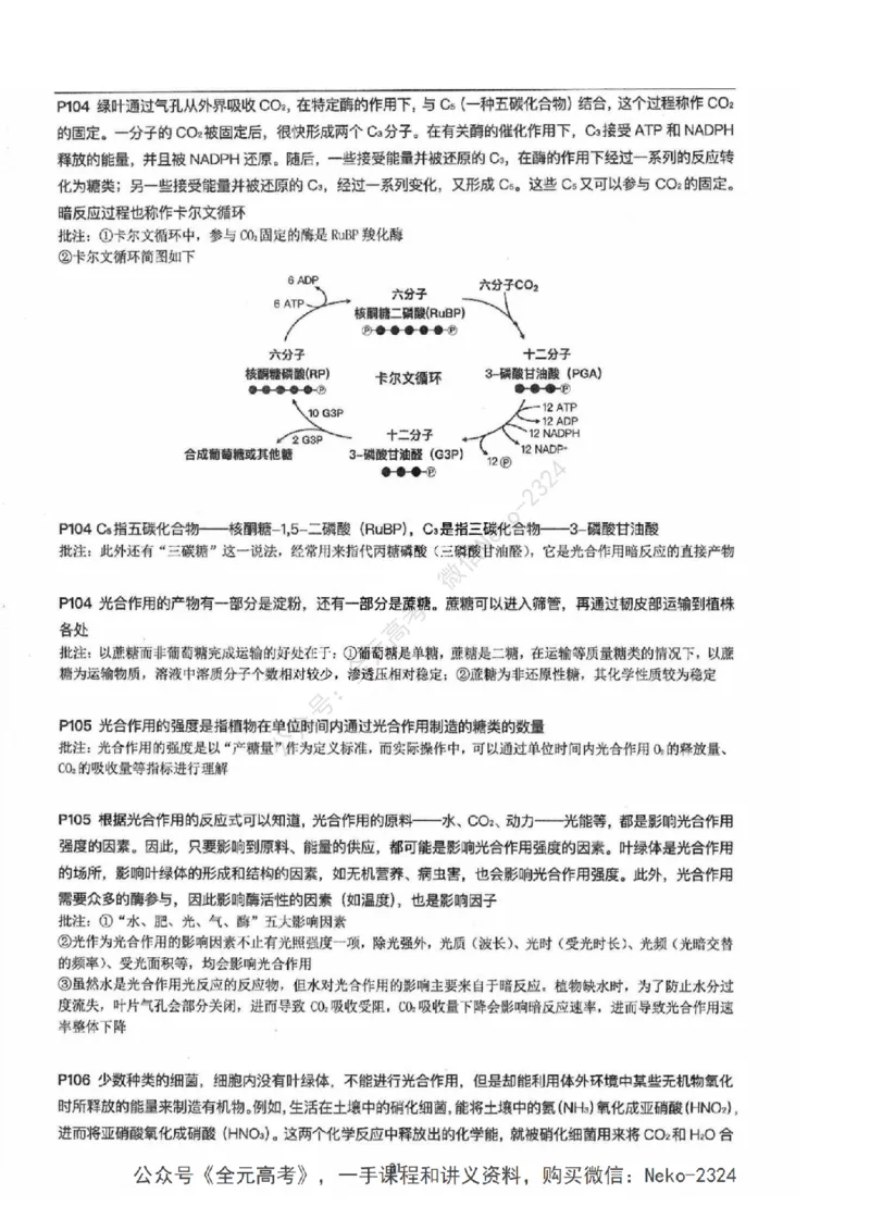 2024张鹏二轮教材解读课本回归_2024-2025高三（6-6月题库）_2024年09月试卷_张鹏