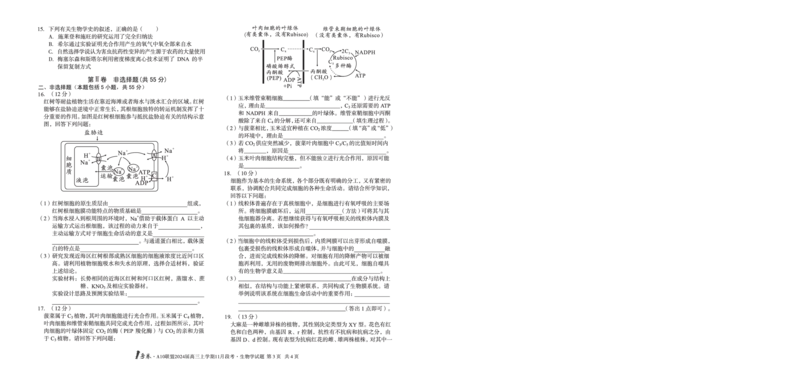 1号卷&middot;A10联盟2024届高三上学期11月段考生物学_副本(1)_2023年11月_0211月合集_2024届安徽省A10联盟高三上学期11月段考_安徽省A10联盟2024届高三上学期11月段考生物