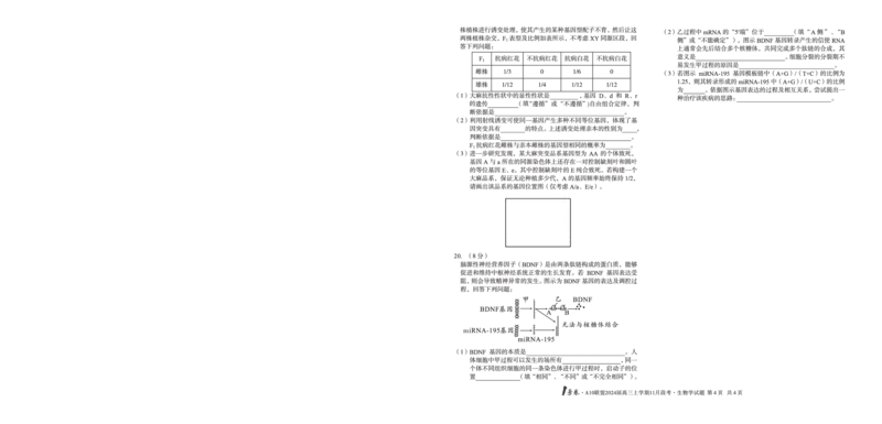 1号卷&middot;A10联盟2024届高三上学期11月段考生物学_副本(1)_2023年11月_0211月合集_2024届安徽省A10联盟高三上学期11月段考_安徽省A10联盟2024届高三上学期11月段考生物