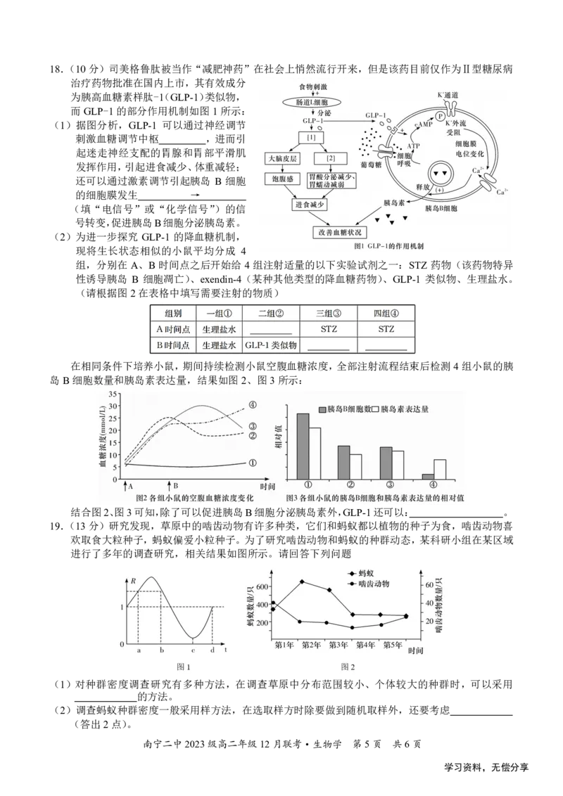 南宁二中2024-12月考高二生物试卷_2024-2025高二（7-7月题库）_2024年12月试卷_1216南宁二中等校2024-12月高二联考全科试卷