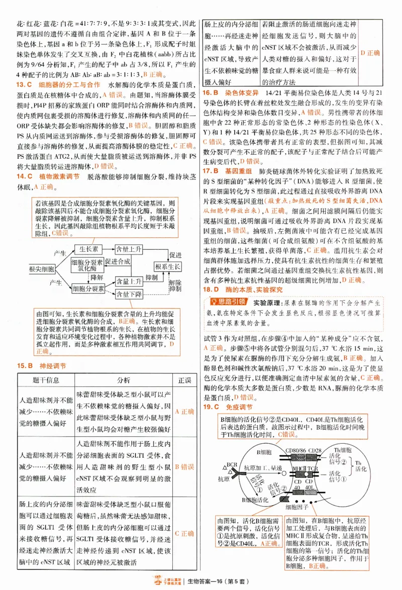 2025《金考卷&middot;特快专递&middot;第4期》生物-答案_2024-2025高三（6-6月题库）_2025年01月试卷_01012025《金考卷&middot;特快专递&middot;第4期》_生物