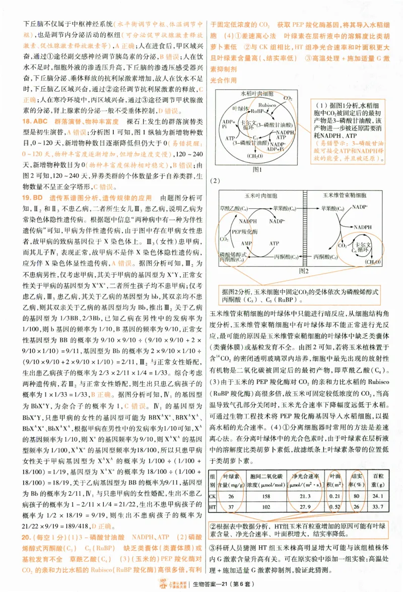 2025《金考卷&middot;特快专递&middot;第4期》生物-答案_2024-2025高三（6-6月题库）_2025年01月试卷_01012025《金考卷&middot;特快专递&middot;第4期》_生物