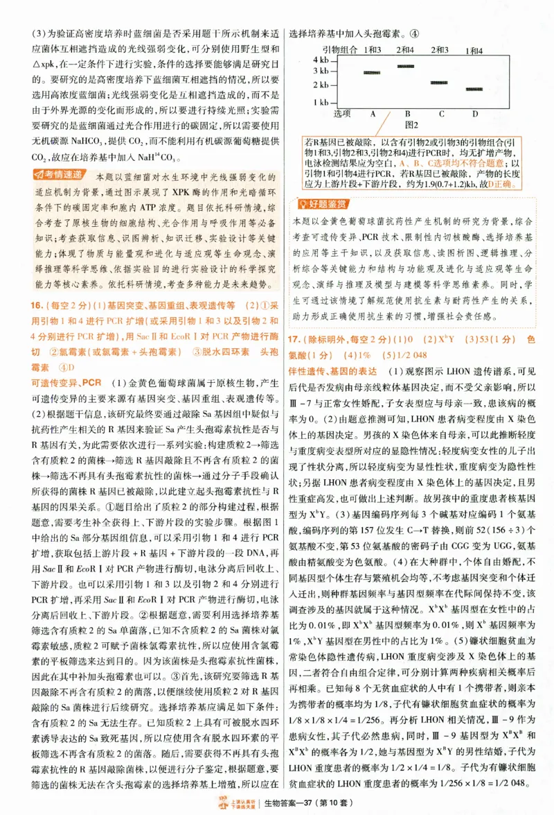 2025《金考卷&middot;特快专递&middot;第4期》生物-答案_2024-2025高三（6-6月题库）_2025年01月试卷_01012025《金考卷&middot;特快专递&middot;第4期》_生物