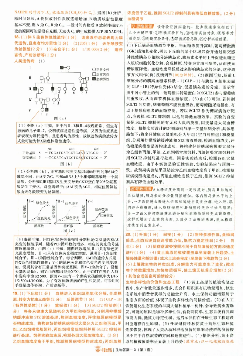 2025《金考卷&middot;特快专递&middot;第4期》生物-答案_2024-2025高三（6-6月题库）_2025年01月试卷_01012025《金考卷&middot;特快专递&middot;第4期》_生物