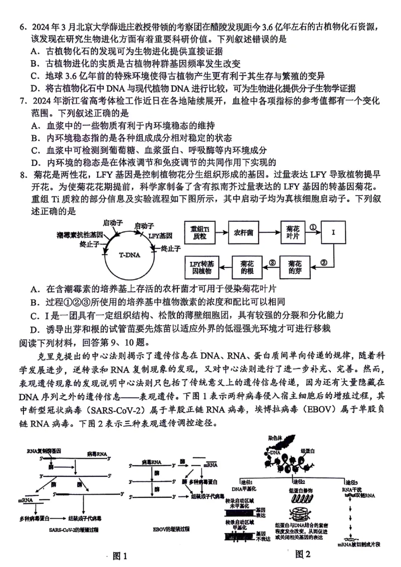 浙江省稽阳联谊学校2024届高三下学期4月联考试题（二模）生物PDF版含答案(1)_2024年4月_024月合集_2024届浙江省稽阳联谊学校高三下学期4月联考试题（二模）