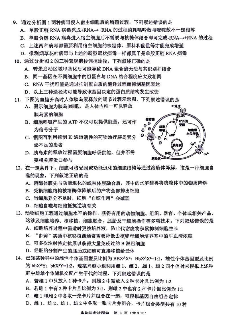 浙江省稽阳联谊学校2024届高三下学期4月联考试题（二模）生物PDF版含答案(1)_2024年4月_024月合集_2024届浙江省稽阳联谊学校高三下学期4月联考试题（二模）