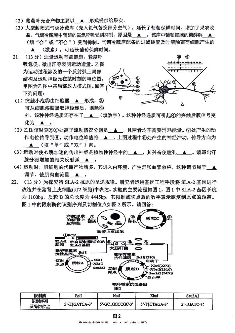 浙江省稽阳联谊学校2024届高三下学期4月联考试题（二模）生物PDF版含答案(1)_2024年4月_024月合集_2024届浙江省稽阳联谊学校高三下学期4月联考试题（二模）
