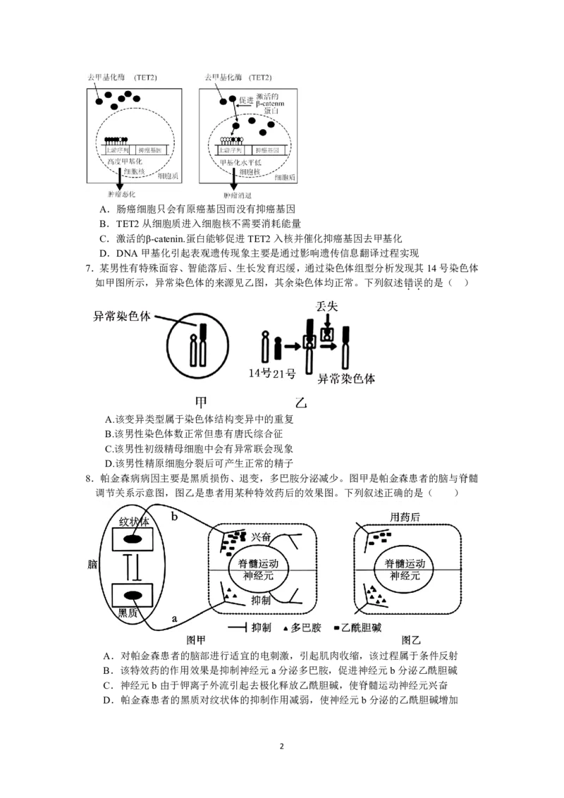 26届高二生物第二学期期中卷_2024-2025高二（7-7月题库）_2025年05月试卷_0501浙江省余姚中学2024-2025学年高二下学期期中考试