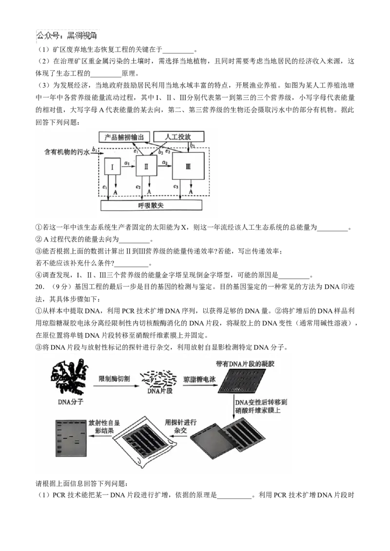 2025届高三10月大联考（新高考卷）生物试题(无答案)_2024-2025高三（6-6月题库）_2024年10月试卷_1018XKW2025届高三10月大联考（新高考卷）