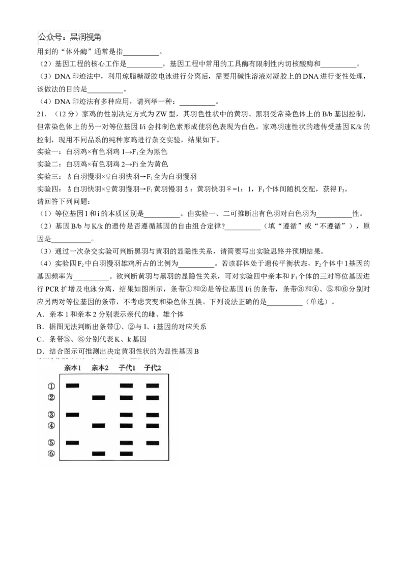 2025届高三10月大联考（新高考卷）生物试题(无答案)_2024-2025高三（6-6月题库）_2024年10月试卷_1018XKW2025届高三10月大联考（新高考卷）