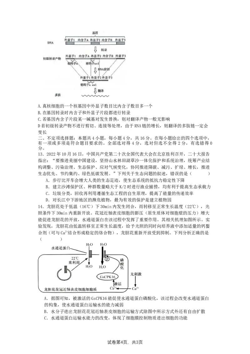 湖南卷湖南省2024届湖南省邵阳市大祥区邵阳市二中2024年高三（5月）模拟考试(三模)生物试卷_2024年5月_01按日期_25号_2024届湖南省邵阳市二中高三5月三模