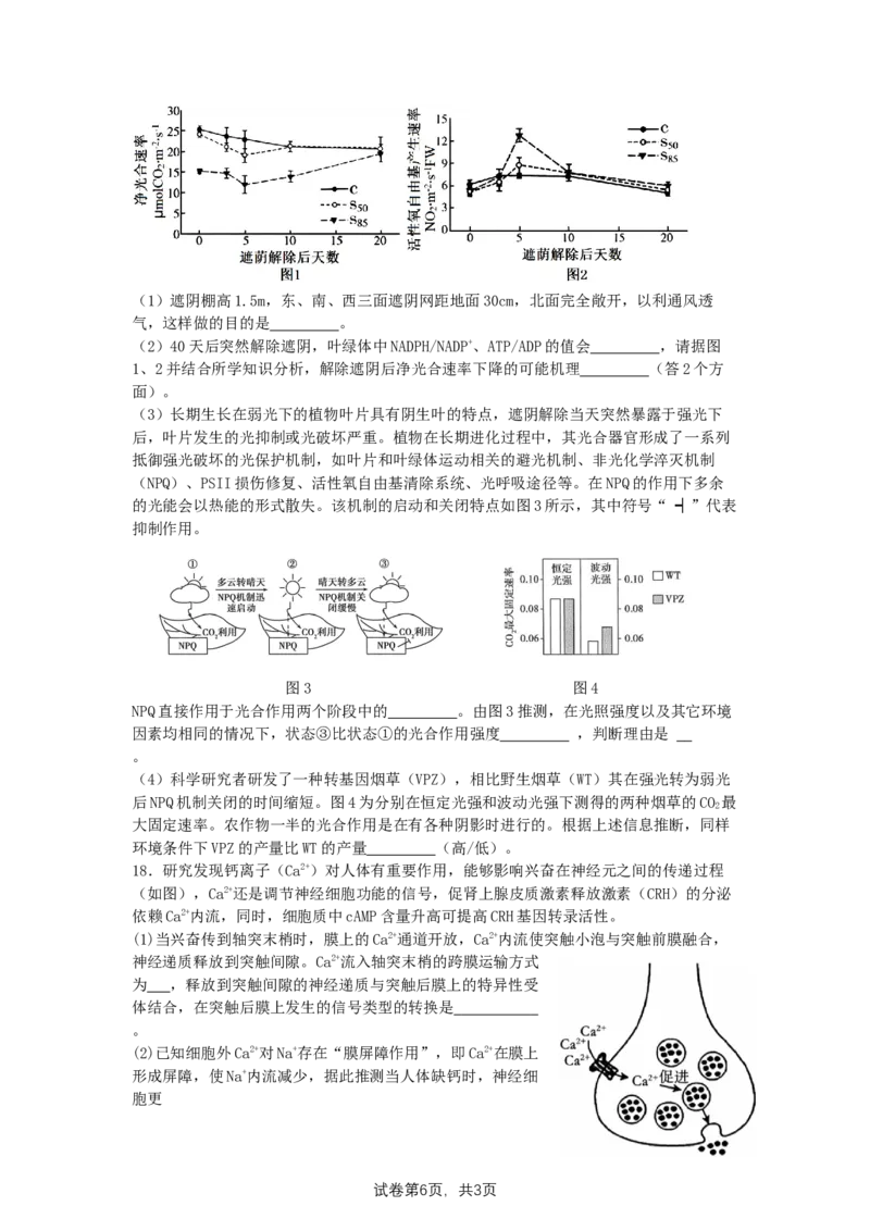 湖南卷湖南省2024届湖南省邵阳市大祥区邵阳市二中2024年高三（5月）模拟考试(三模)生物试卷_2024年5月_01按日期_25号_2024届湖南省邵阳市二中高三5月三模