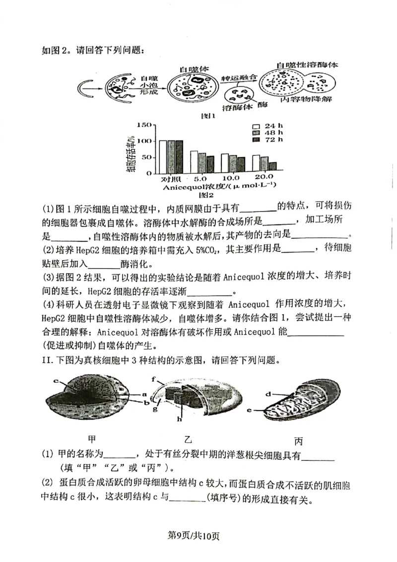 2023-2024学年度（下）七校协作体高二联考生物试题_2024-2025高三（6-6月题库）_2024年06月试卷_240617辽宁省七校协作体2023-2024学年高二下学期6月联考