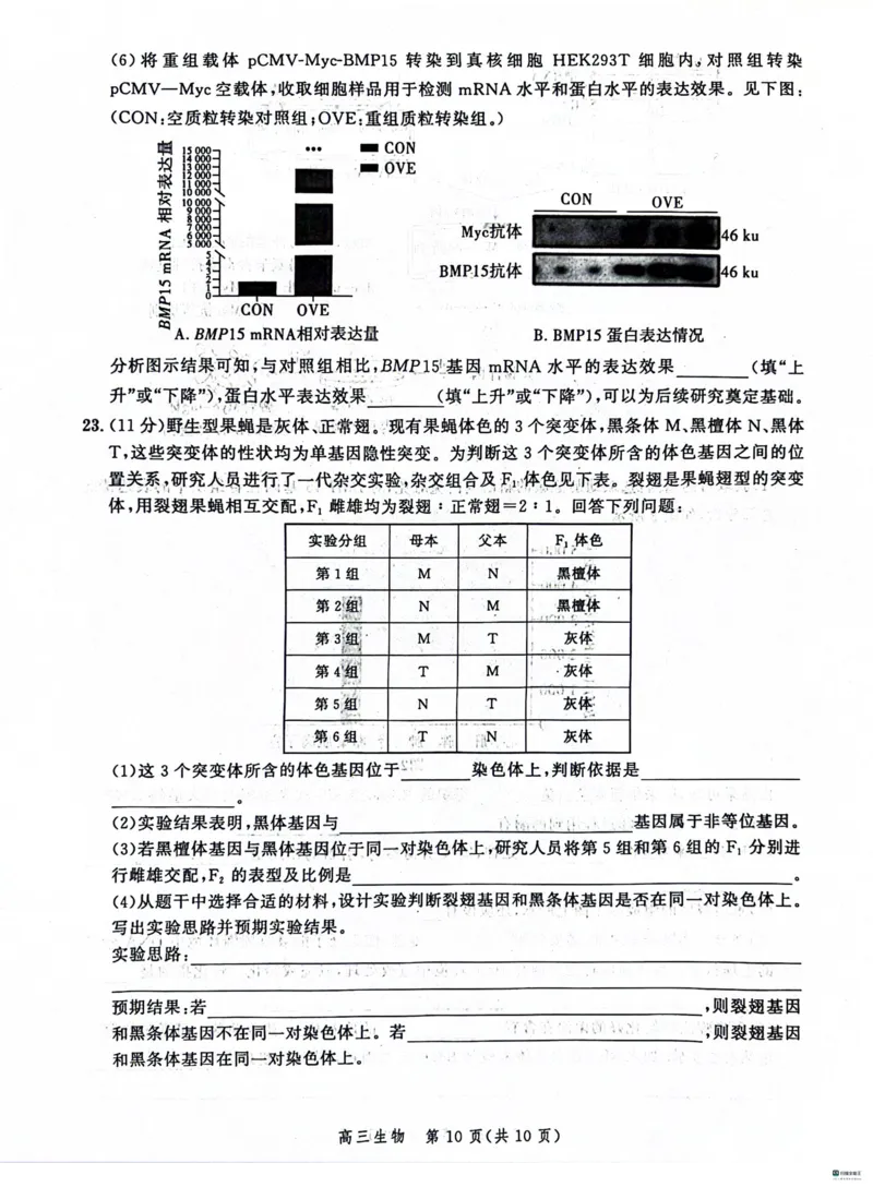 河北省大数据应用调研联合测评2024届高三下学期2月月考生物(1)_2024年2月_022月合集_2024届河北省大数据应用调研联合测评高三下学期2月月考