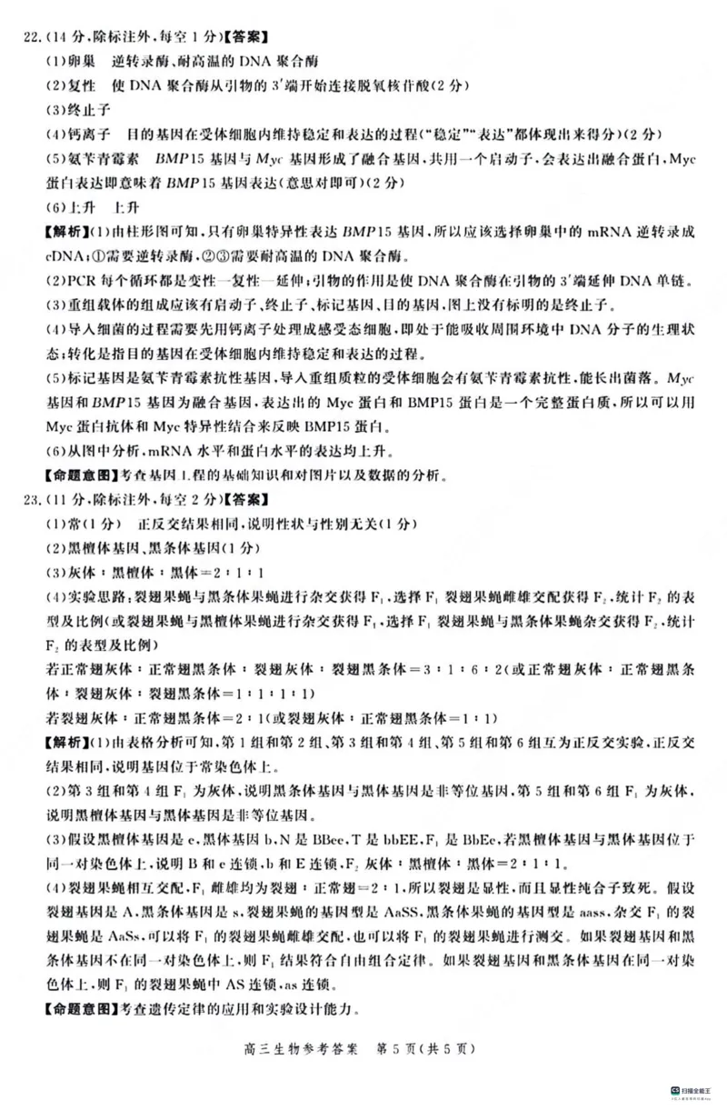 河北省大数据应用调研联合测评2024届高三下学期2月月考生物(1)_2024年2月_022月合集_2024届河北省大数据应用调研联合测评高三下学期2月月考