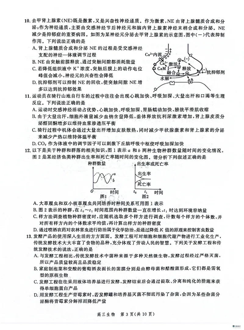 河北省大数据应用调研联合测评2024届高三下学期2月月考生物(1)_2024年2月_022月合集_2024届河北省大数据应用调研联合测评高三下学期2月月考