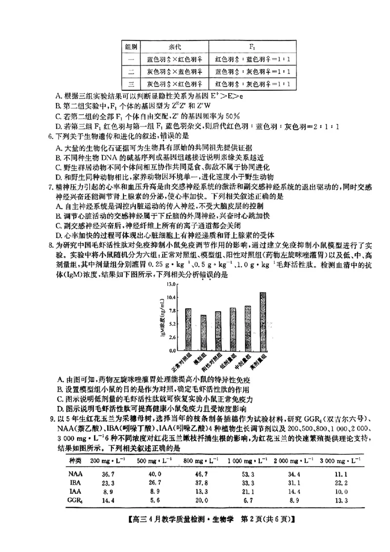 江西省九师大联考2024年高三4月（二模）生物试题_2024年5月_01按日期_1号_2024届江西省九师联盟高三4月教学质量检测（二模）