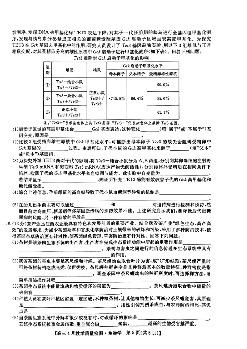 江西省九师大联考2024年高三4月（二模）生物试题_2024年5月_01按日期_1号_2024届江西省九师联盟高三4月教学质量检测（二模）
