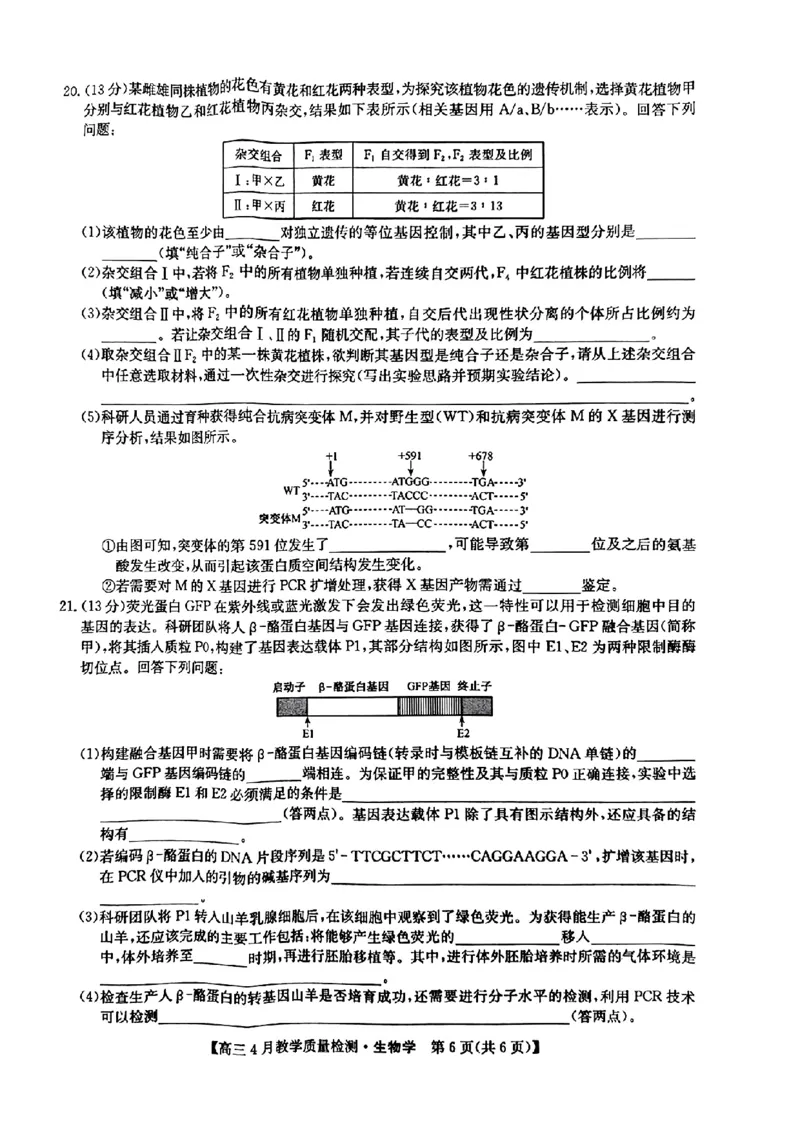 江西省九师大联考2024年高三4月（二模）生物试题_2024年5月_01按日期_1号_2024届江西省九师联盟高三4月教学质量检测（二模）