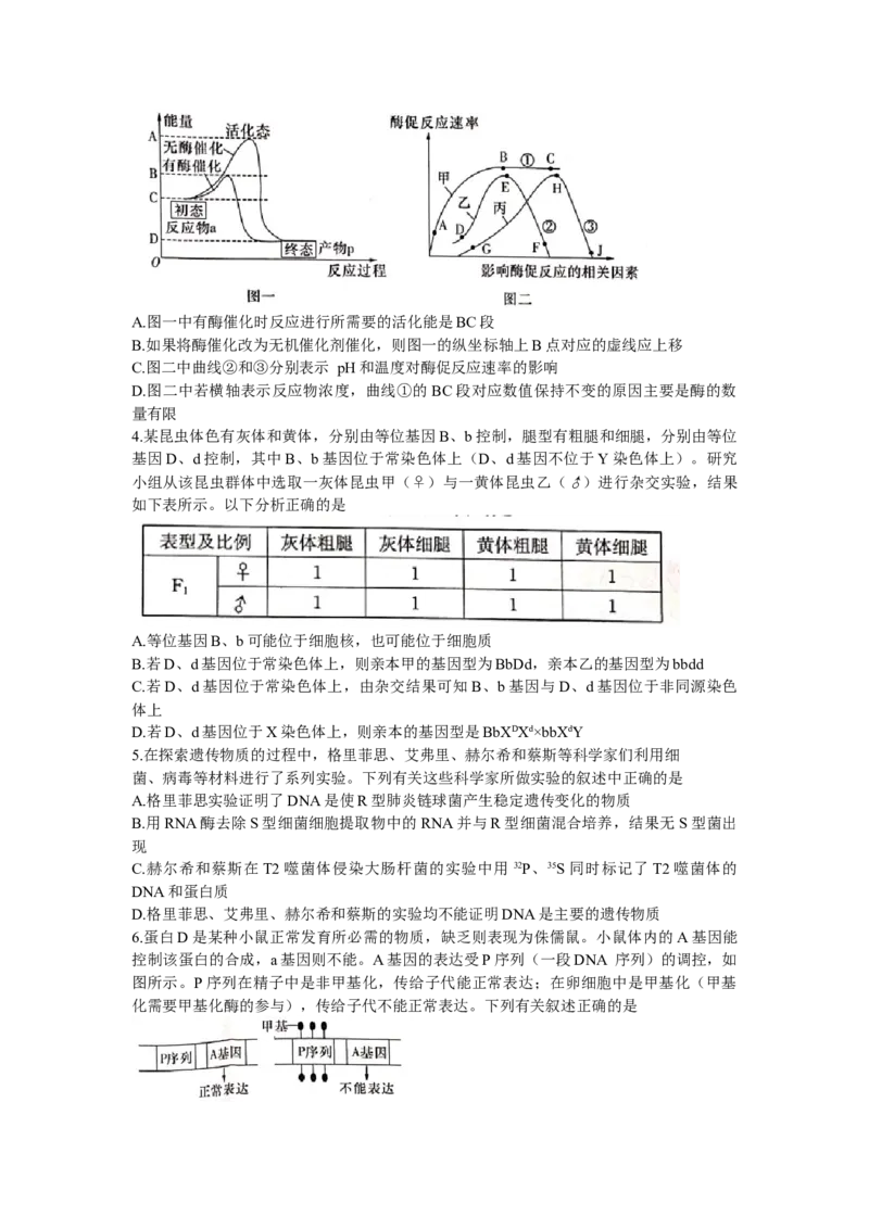 湖南省长沙市雅礼中学2022-2023学年高三下学期月考卷（六）生物试题_2024年2月_01每日更新_10号_2023届湖南省长沙市雅礼中学高三上学期第六次月考
