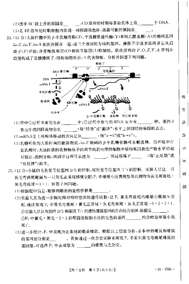 内蒙古区赤峰第四中学2024届高三上学期金太阳11月期中考试（24-155C）生物(1)_2023年11月_01每日更新_29号_2024届内蒙古区赤峰第四中学高三上学期金太阳11月期中考试（24-155C）